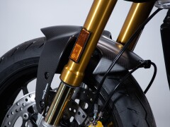 Ducati MONSTER SENNA 